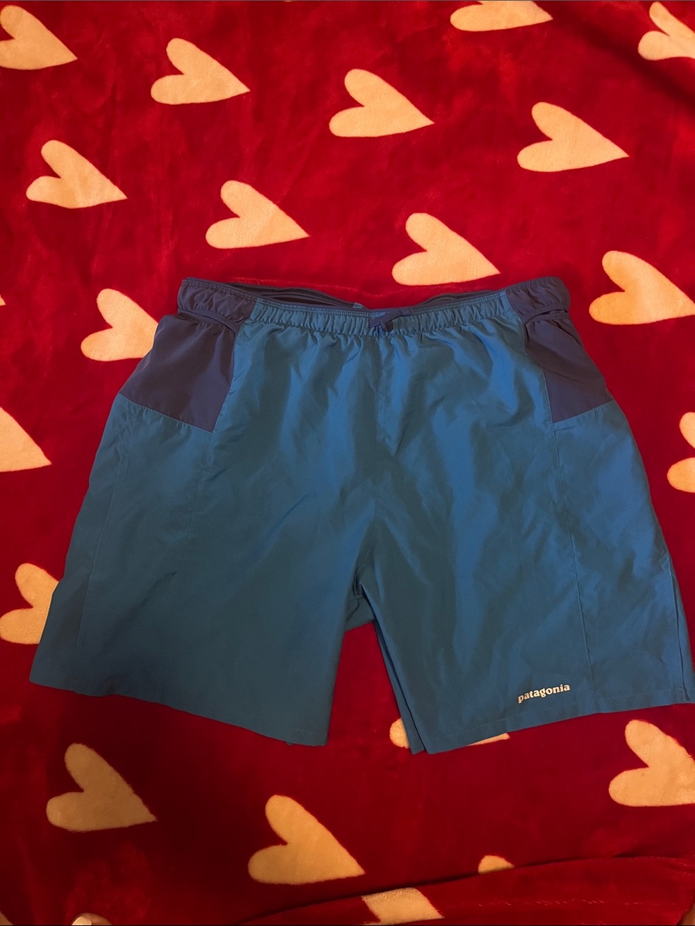 Patagonia Two-Tone Blue Men's Athletic Shorts